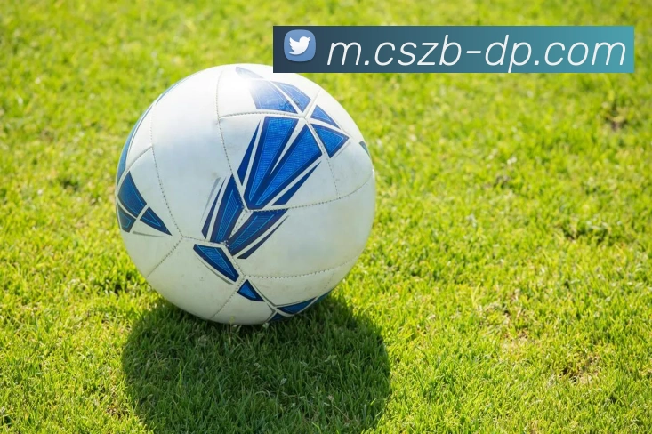 彩神争霸平台生态图